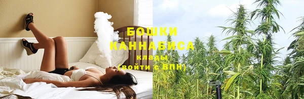 шишки Абаза